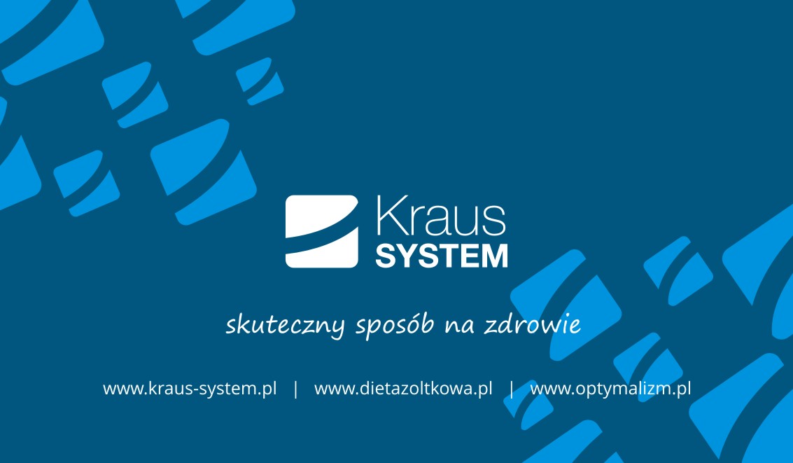 Kraus SYSTEM - wizytówka